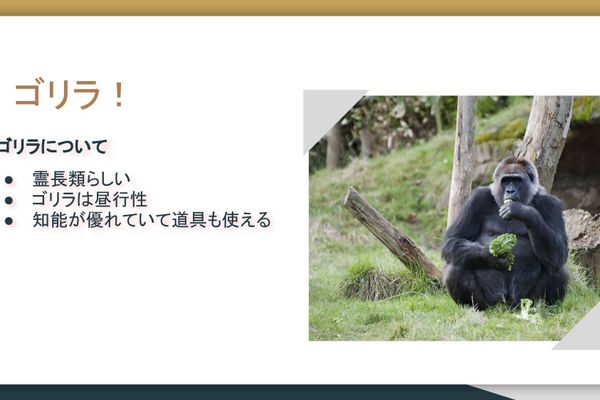 生徒作品例。好きな動物を紹介するスライドを作りました。