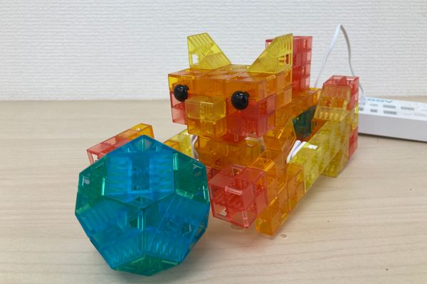 教材：ボールであそぶネコ