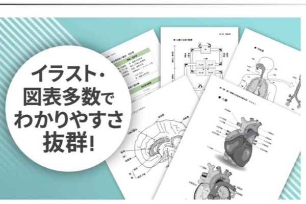 図やイラストが充実したわかりやすい教材