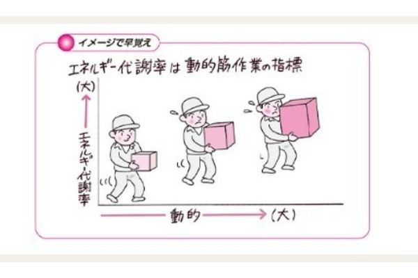 図が豊富でわかりやすいテキスト