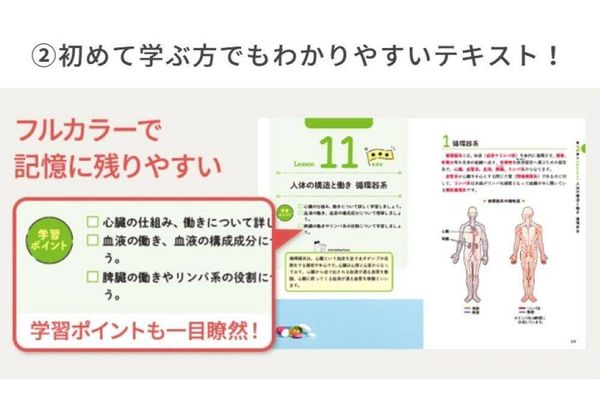 フルカラーで記憶に残りやすい教材