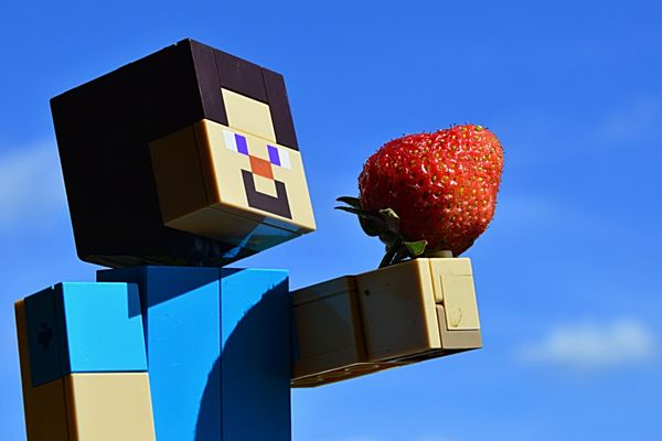 ロブロックスとマイクラでコーディングを学ぶ