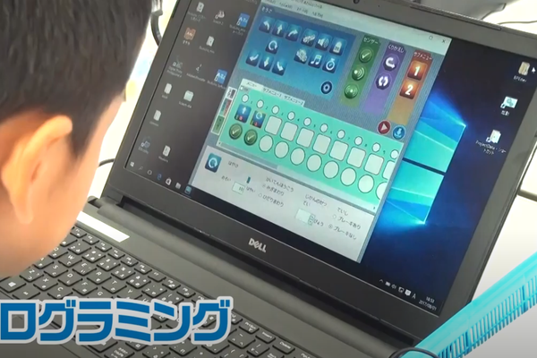センサーやLED を使った36種類のロボットをプログラミングで制御！