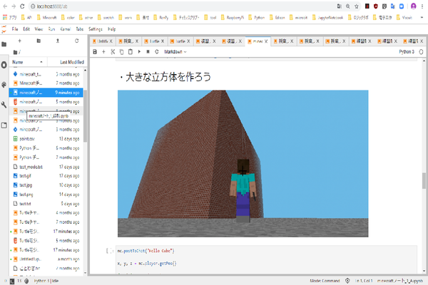 Python × マインクラフト