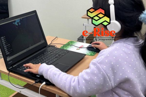 erise_reina_programming_edited_edited.jpg