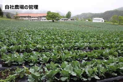 自社農場の管理