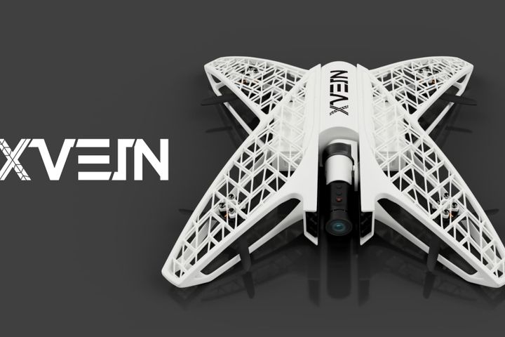 X-VEIN