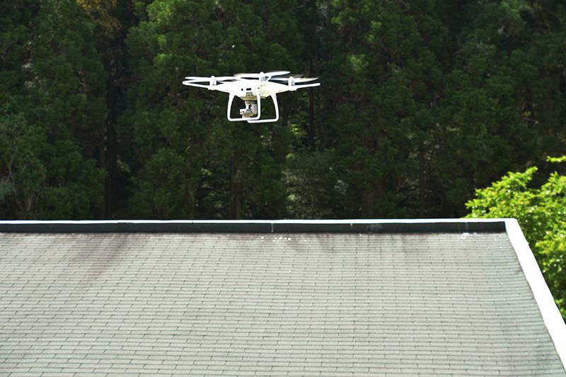 Drone School Queen Bee
