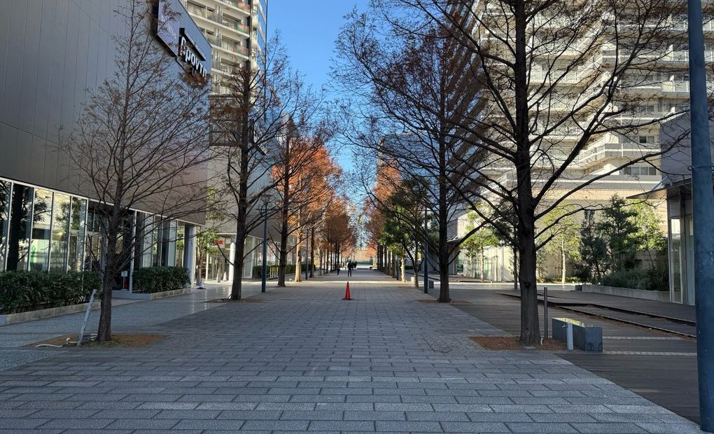 プログラミング教育 HALLO キッズデュオ みなとみらい校の画像