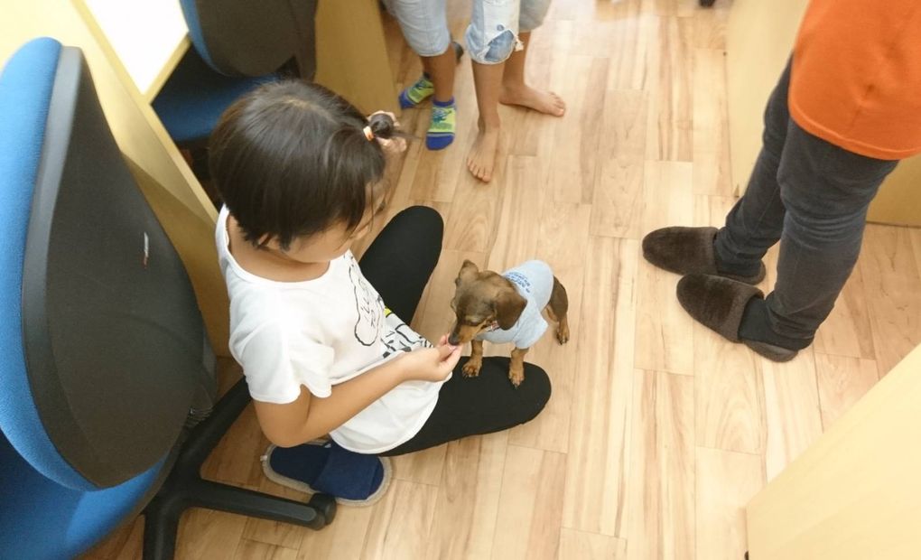 個別学習塾 育脳寺子屋 天六校の画像