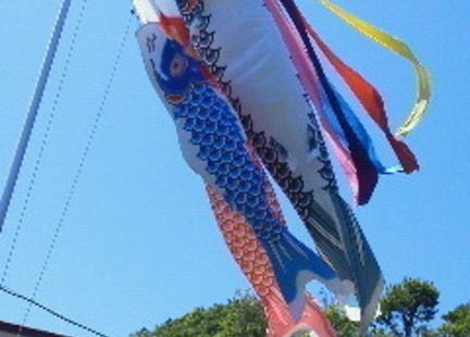 アピタ千代田橋の画像