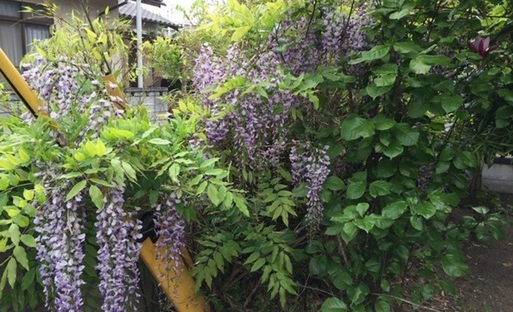 児童くらぶ はっぴーそろばん 茅ヶ崎桜道の画像