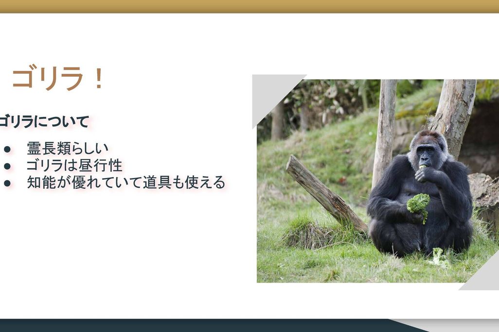 生徒作品例。好きな動物を紹介するスライドを作りました。