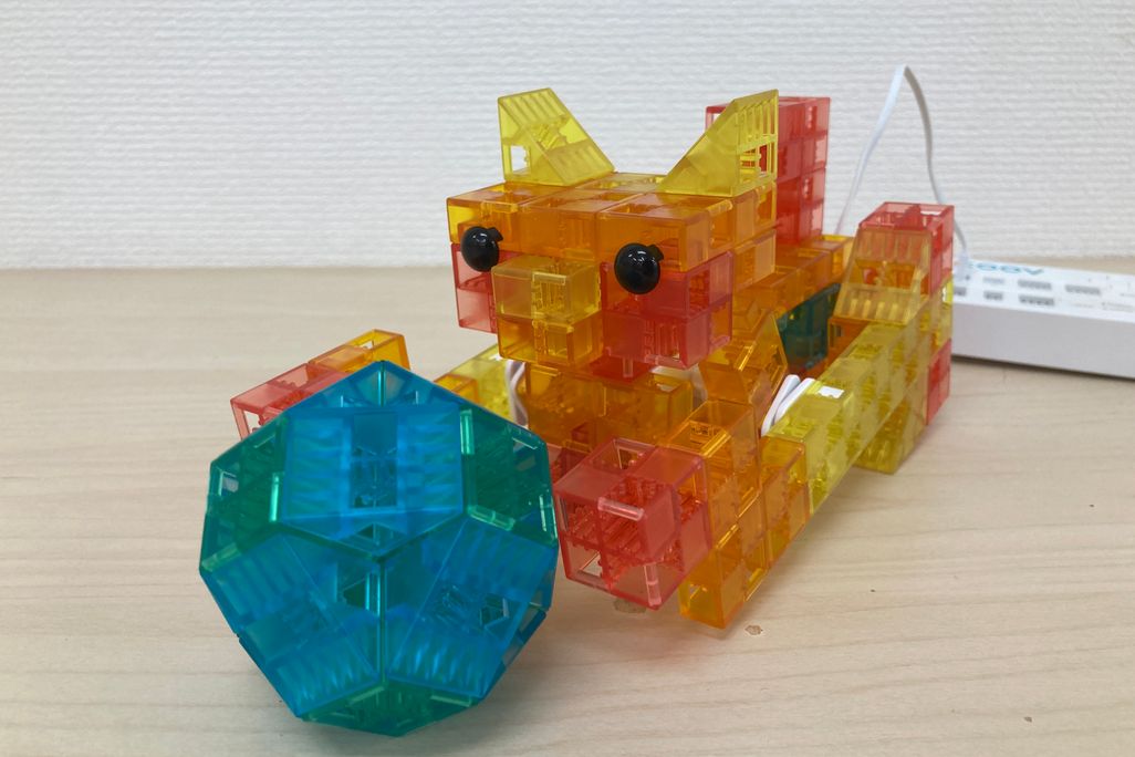 教材：ボールであそぶネコ