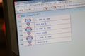 アイコンはC言語がベース