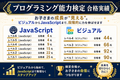 プログラミング能力検定・2026年3月までの実績です
