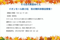 新小松-20-900x586.png