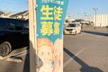 こののぼりが目印