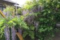 茅ヶ崎-1-scaled.jpg