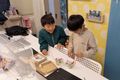 わかやまの地域に密着 「あ、学校で習ったやつだ！」