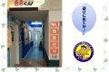 板橋11月。.jpg
