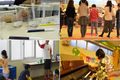 STEAM教育「体験学習」
