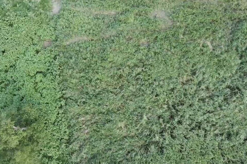 BizDrone Nexus