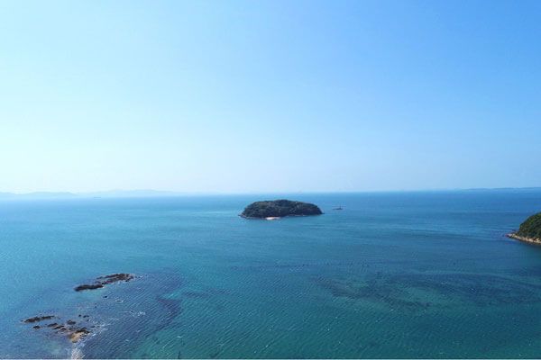 空撮写真