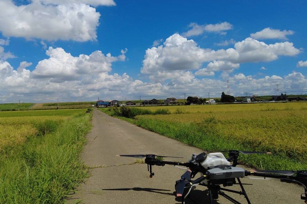 桜 DRONE SCHOOL