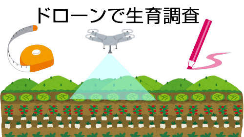 HKBドローン教習所