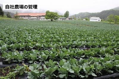 自社農場の管理