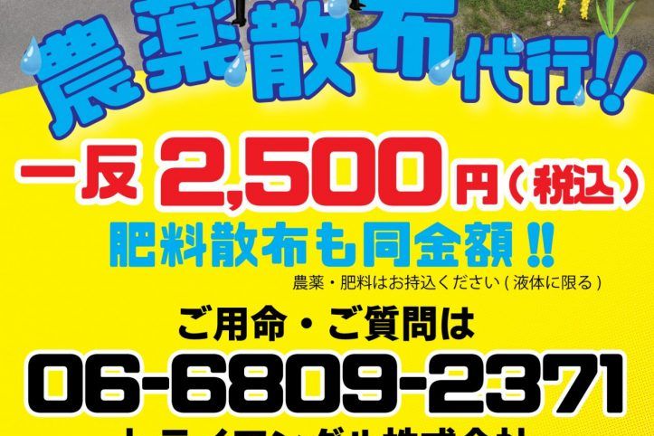 トライアングル株式会社