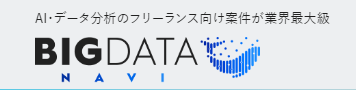 BIGDATA NAVI（ビックデータナビ）のロゴ