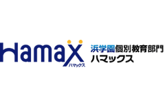 Hamax（ハマックス）のロゴ