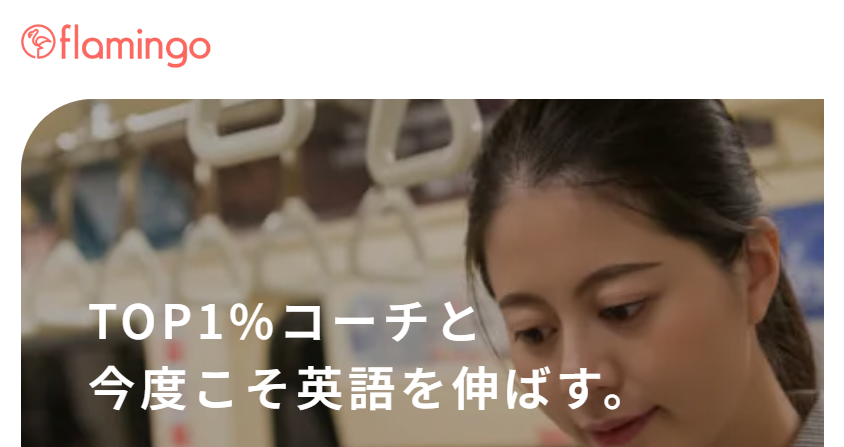 フラミンゴ