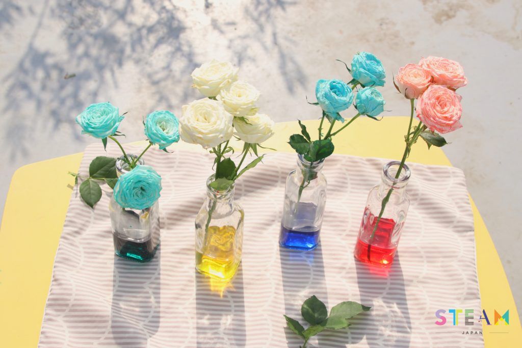 花びらが色水を吸って色づいている様子。