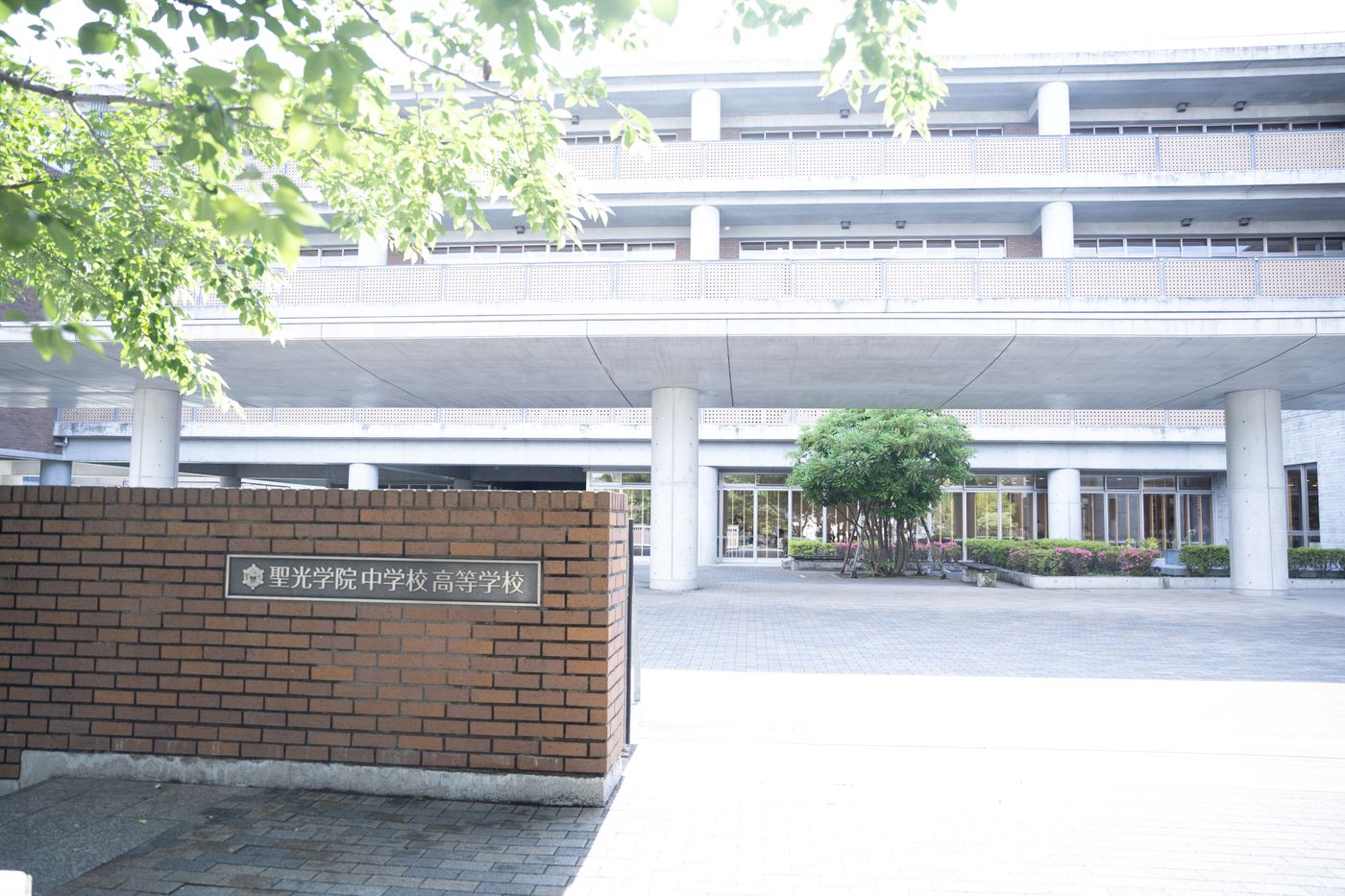 聖光学院　授業　様子