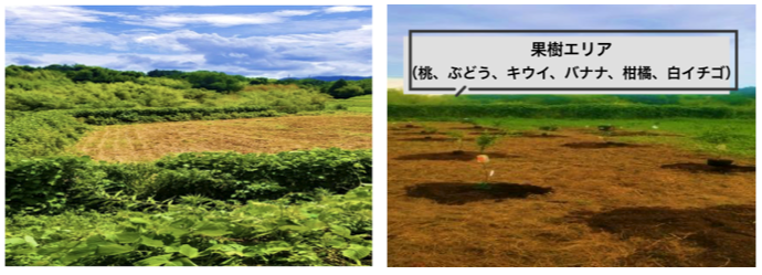 ゲームチェンジャー育成アカデミー