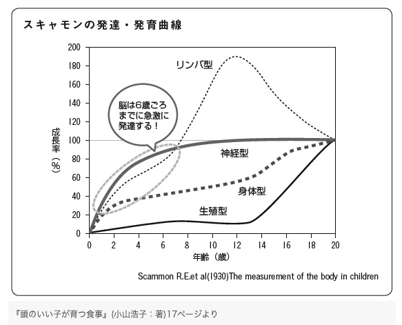 子ども　脳　発達