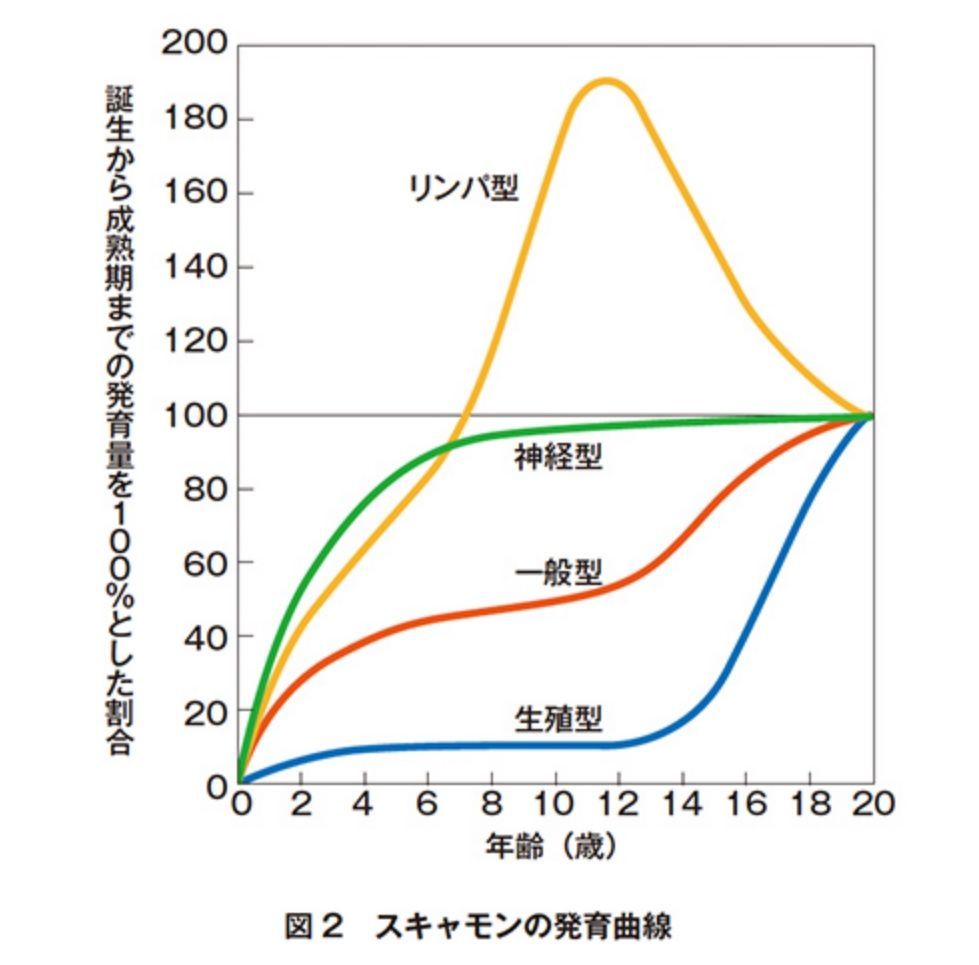 スキャモンの発育曲線のグラフ
