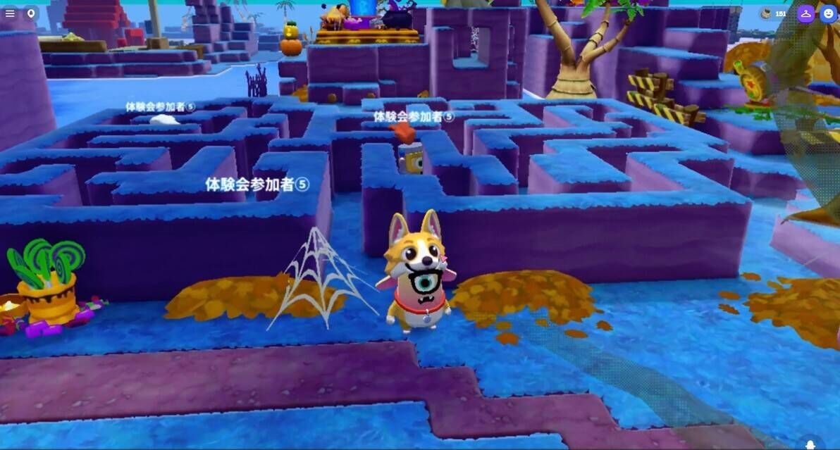 Meta Nexusで遊べるドージョー・アイランド