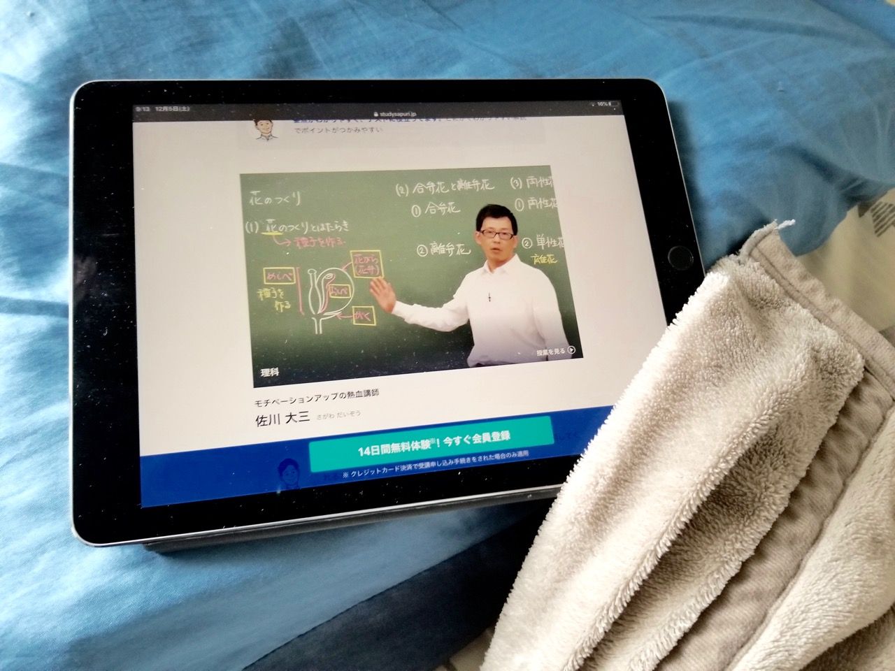 タブレット　スタサプ
