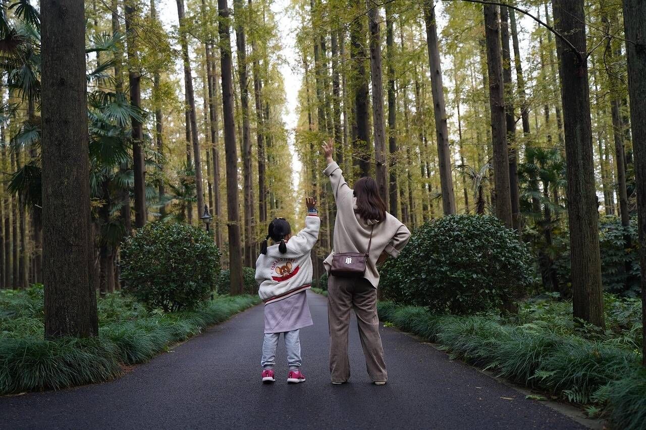 共に歩く親子の後ろ姿の写真