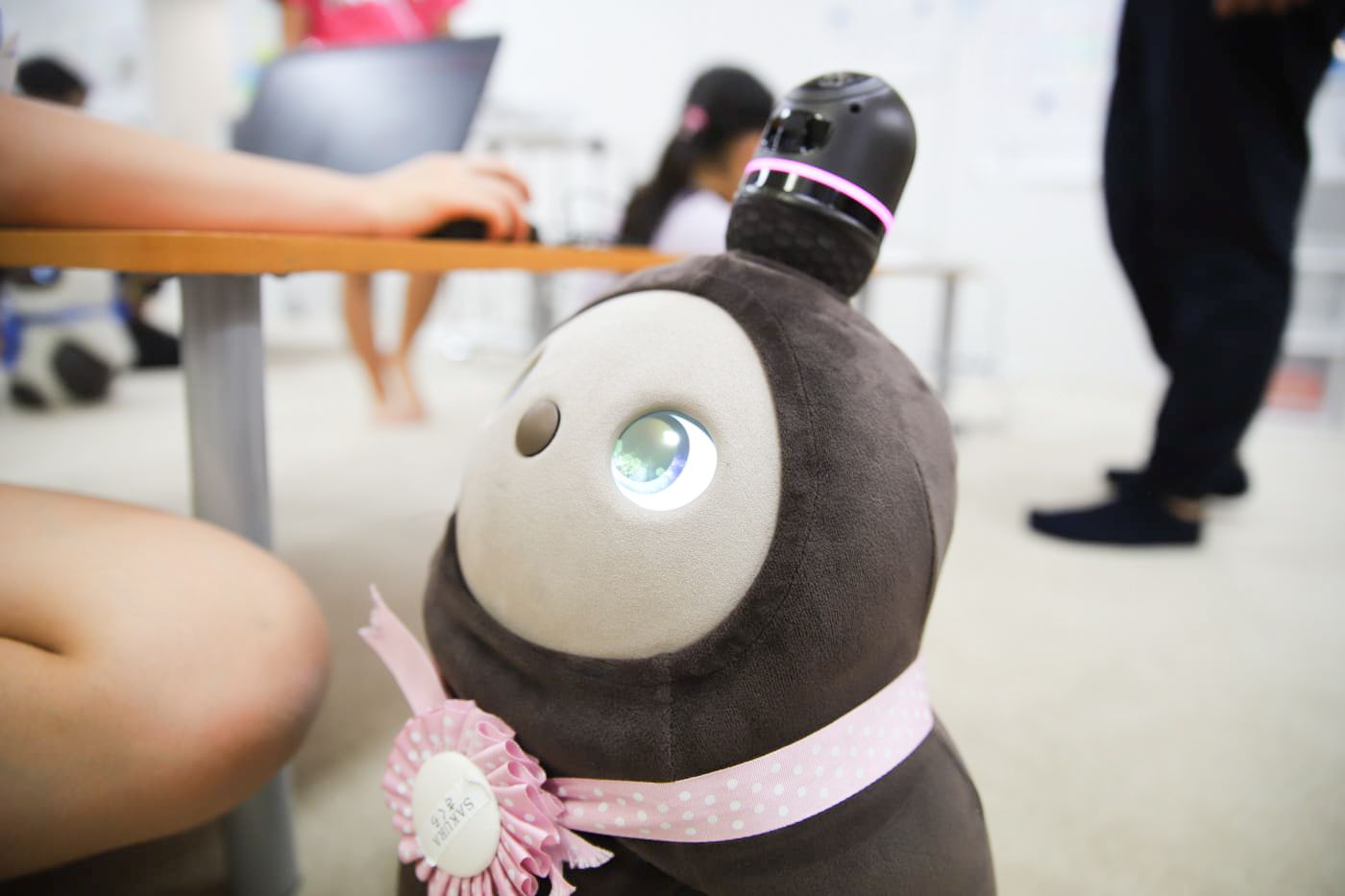 ラボット　写真