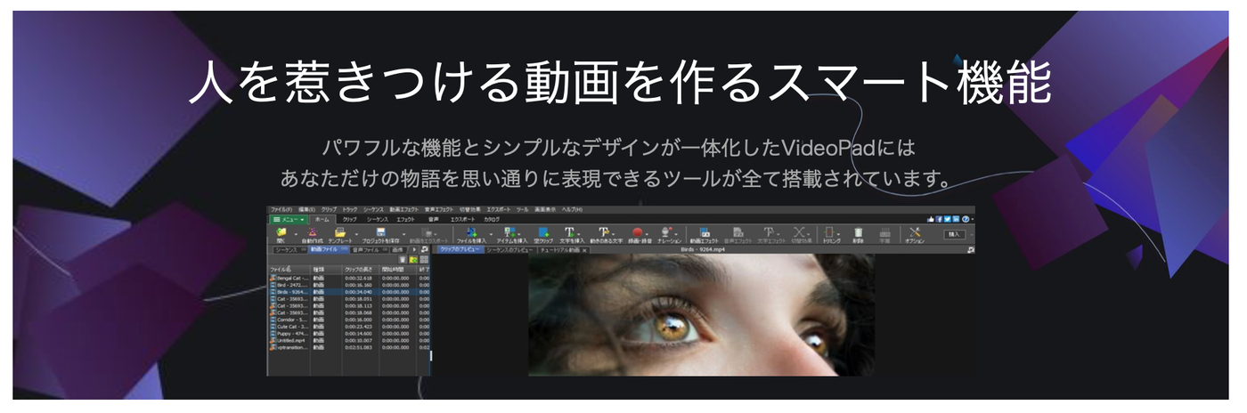 VideoPad