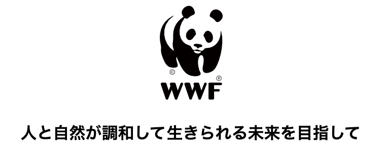 WWF　プログラミング