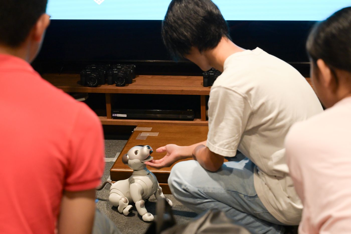 アイボ　体験　ショップ