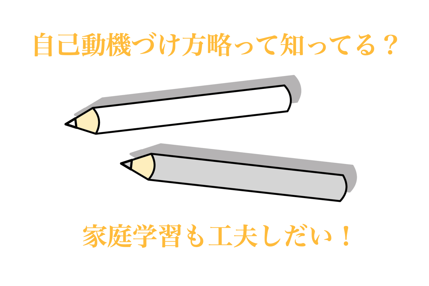 家庭学習　おすすめ　
