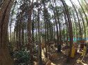 ドローン練習場　ドローンフィールド　ドローンスクール