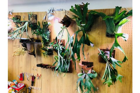 植物園のようなスペースも。